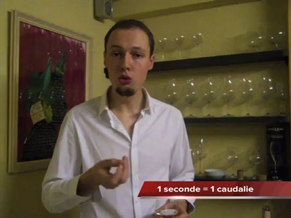Cours de Dégustation 5/5. L'Examen Gustatif. Crémant de Bourgogne Biologique Bruno Dangin. TV Bio'Bulle.