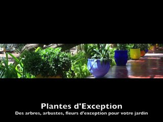 Formation à la conception et à l'amélioration de son jardin