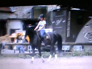 Travail sur le plat 10 07 12.2