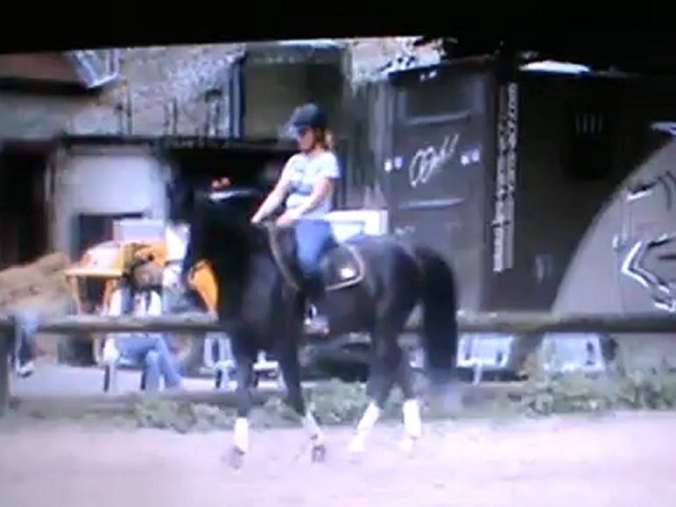 Travail sur le plat 10 07 12.2