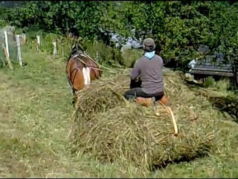 (Episode 4) Faire ses foins avec un cheval et une motofaucheuse, c'est possible...