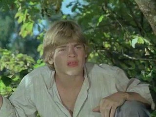 Huckleberry Finn E20 - End of the Feud