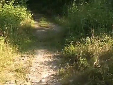 Comment trouver des spots de skate?