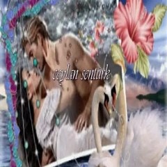 sen unutsanda ben unutmam şiir