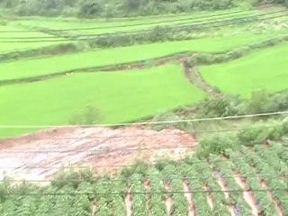 Noah's Ark in South Korea - For 40 Days and 40 Nights the Rains Fell