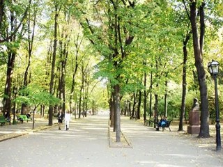 COLAJ MUZICA POPULARA = MOLDOVA DE PESTE PRUT = 2