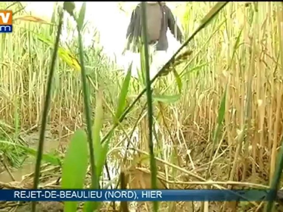 Le mauvais temps inquiète les agriculteurs