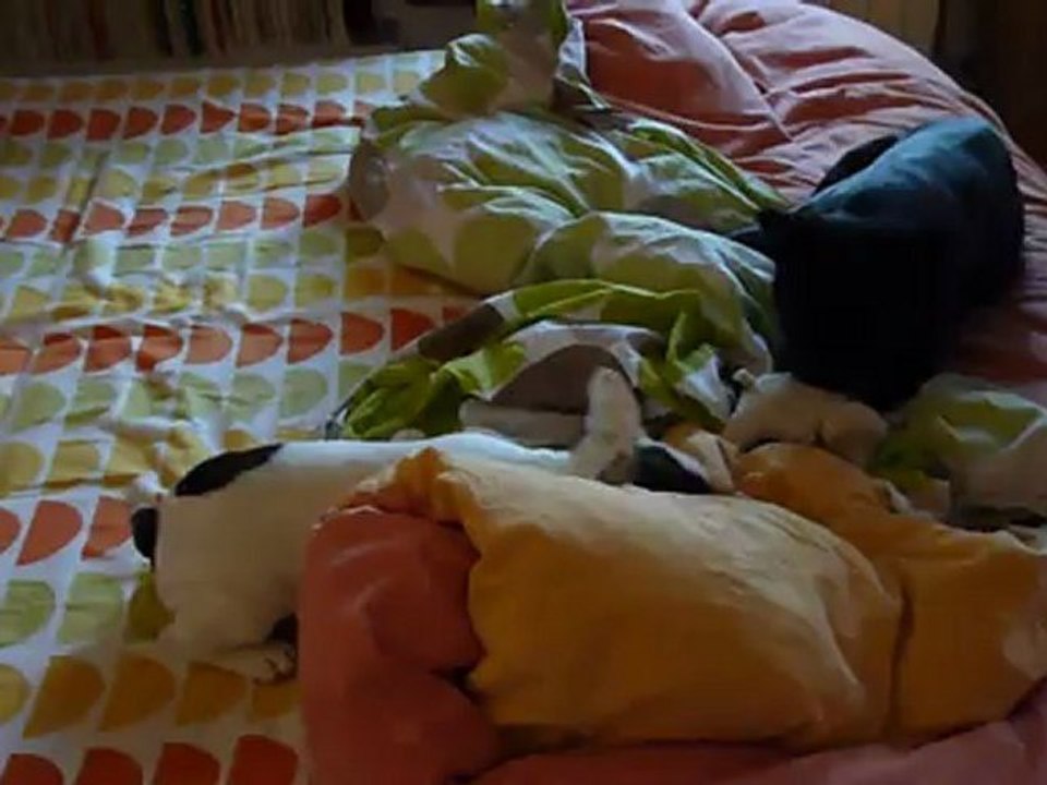 Colette n'arrive pas à voler le jouet de Gilda et ça l'énerve 14 juillet 2012