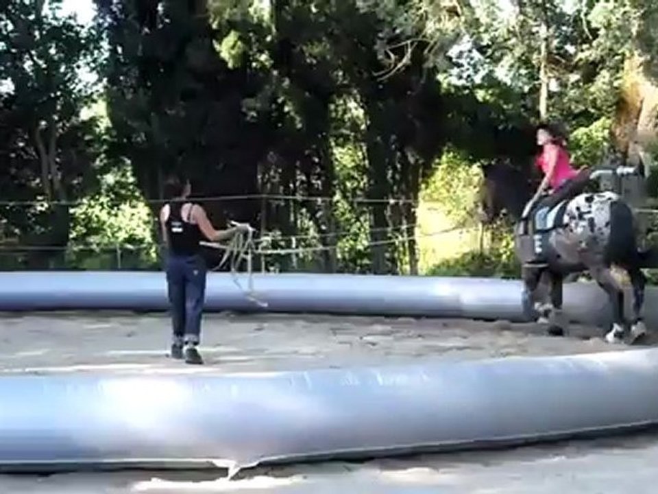 Voltige