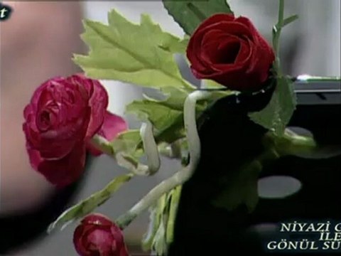 NİYAZİ GEDİK 'İN SESİNDEN LEYLA GÜL VAROĞLU'nun - ELVEDA ŞİİRİ