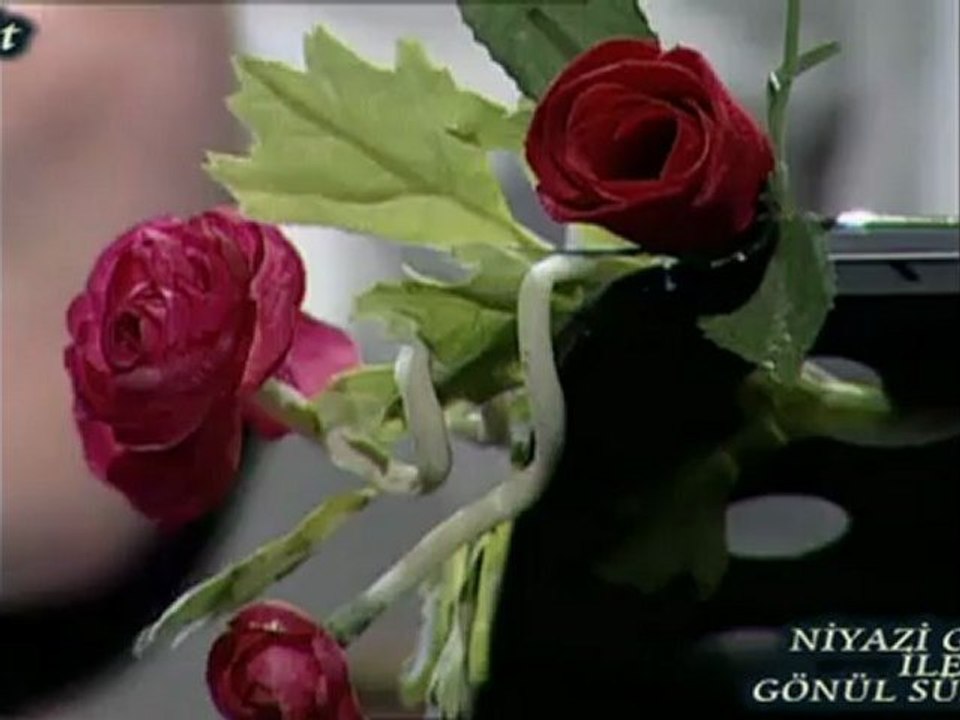 NİYAZİ GEDİK 'İN SESİNDEN LEYLA GÜL VAROĞLU'nun  - ELVEDA ŞİİRİ