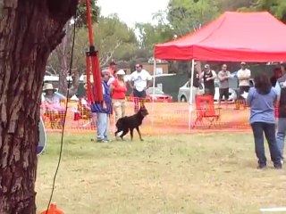 Avatar MR III 2012 07 14