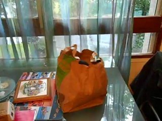 Le vendredi c'est Mc Do, Snoopy adore leur sac!!!!!!