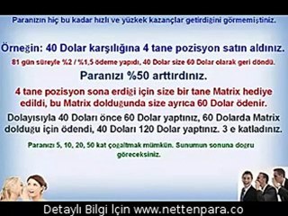 Just Been Paid Türkçe Destek