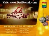 Nikhar Gye Gulab Sare By Hum TV - Episode 36 - 16th July 2012 - Promo