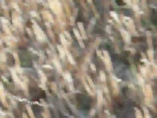 lieudieu le 14 juillet 2012 en famille