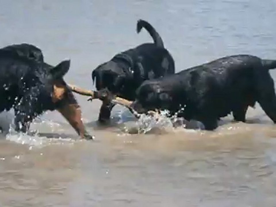 La Durance 14juillet12