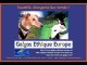 plaidoyer-pour-le-galgo-animal-de-compagnie-galgos-ethique-europe-juillet2012