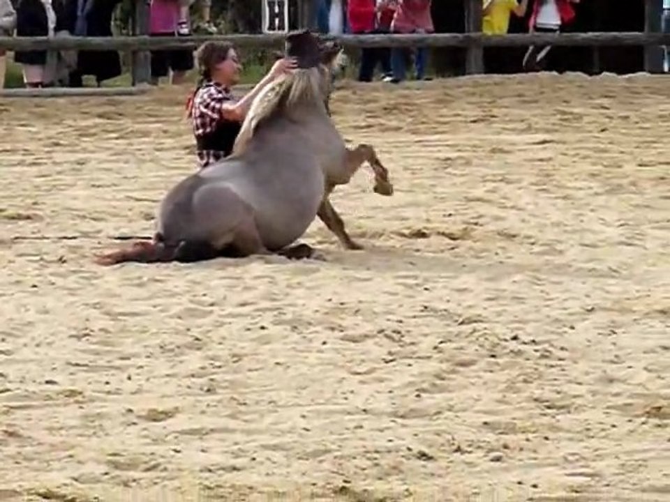 Lutin, fête du club de l'écurie de Cé