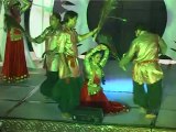Best Dance Performance Live Concert by Best Performers at Indian Wedding New Delhi 3