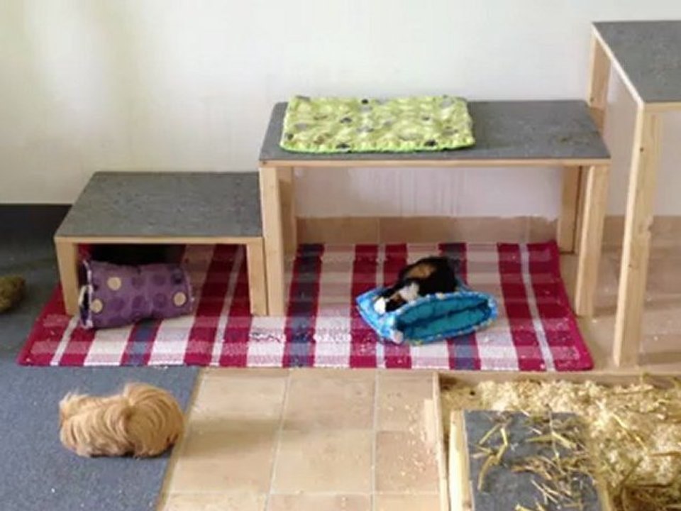 Frisch gewaschene Kuschelsachen