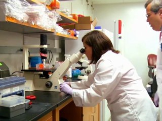 Turns Out, Tonsils May Be Important After All