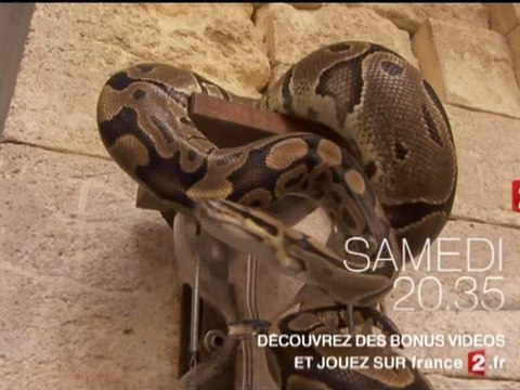 Fort Boyard 2012 : bande-annonce de l'émission du 21 juillet 2012 - équipe Nelson Monfort