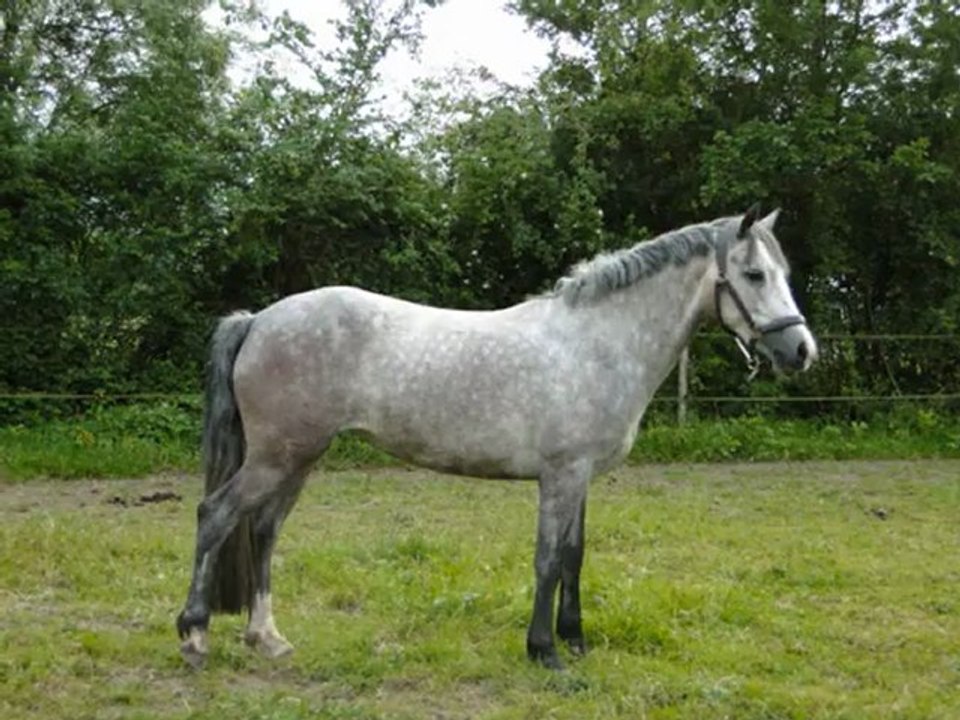 Vic Du Cadran : liberté