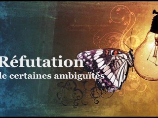 ~ Réfutation de certaines ambiguïtés ~
