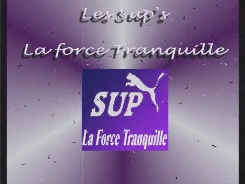 Les Sup's 2012-13