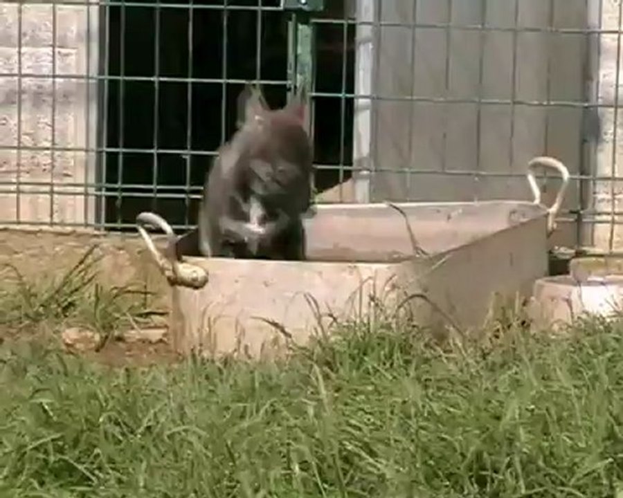 hapache 15 juillet 2012