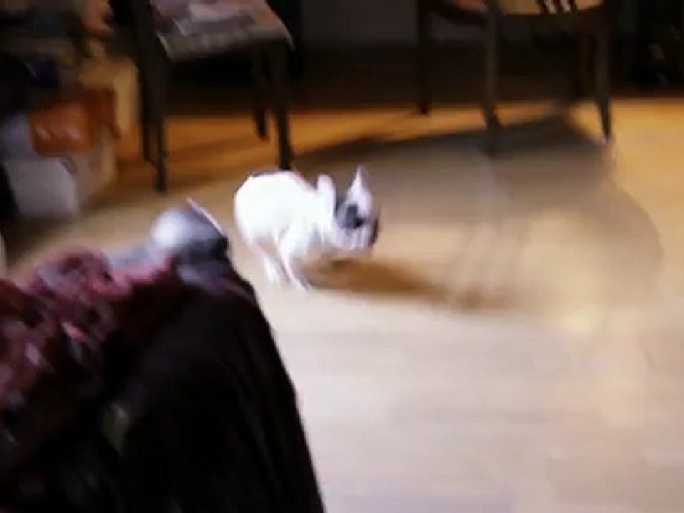 Colette fait la folle de la salle de bain à la chambre 15 juillet 2012