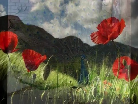 deste günaydın-yarınlara merhaba