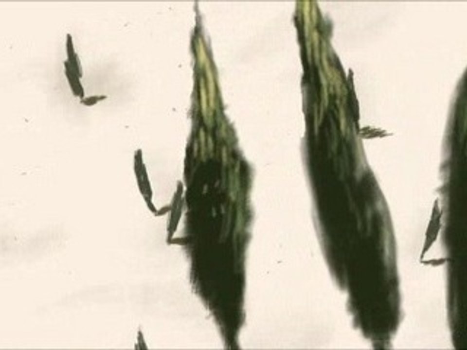 A bus ride and flowers in her hair.
