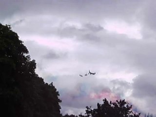 "Mon 14 juillet 2012" : Grands oiseaux et petit oiseau