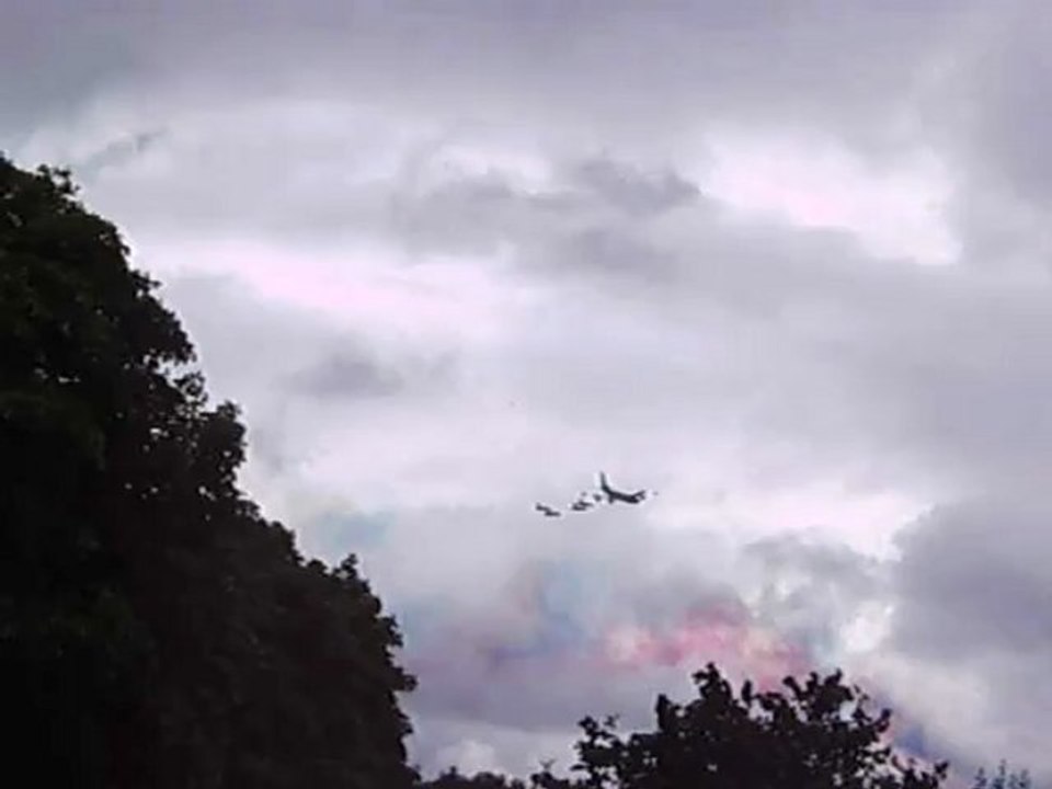 "Mon 14 juillet 2012" : Grands oiseaux et petit oiseau