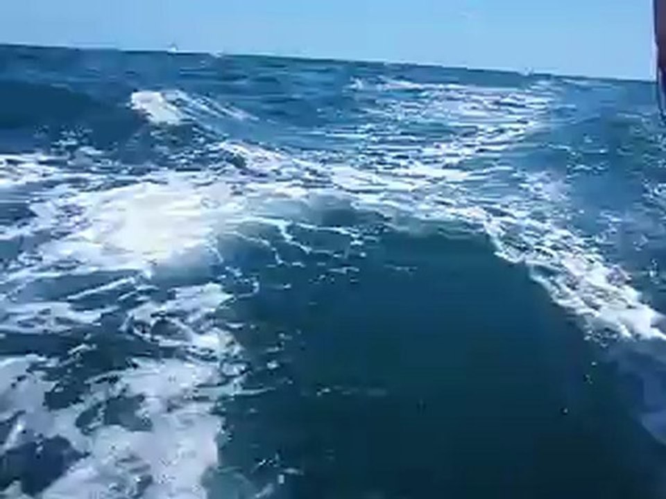 Sed fugit interea fugit irreparabile tempus