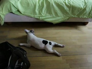 après avoir fait la folle je tombe épuisée 15 juillet 2012