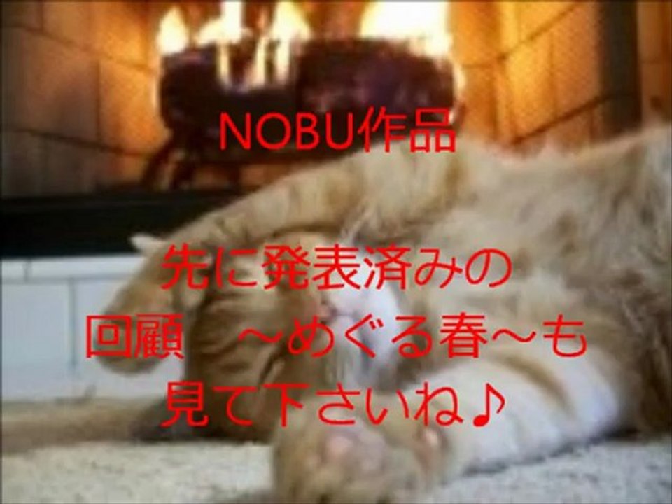 女は生まれ変われるの