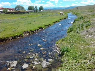 SALİM DEMİR YAYINLARI