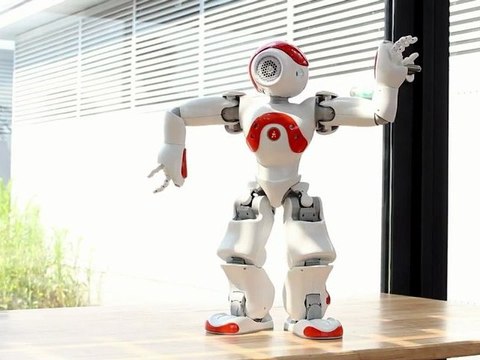 Evolution Of Dance by NAO Robot