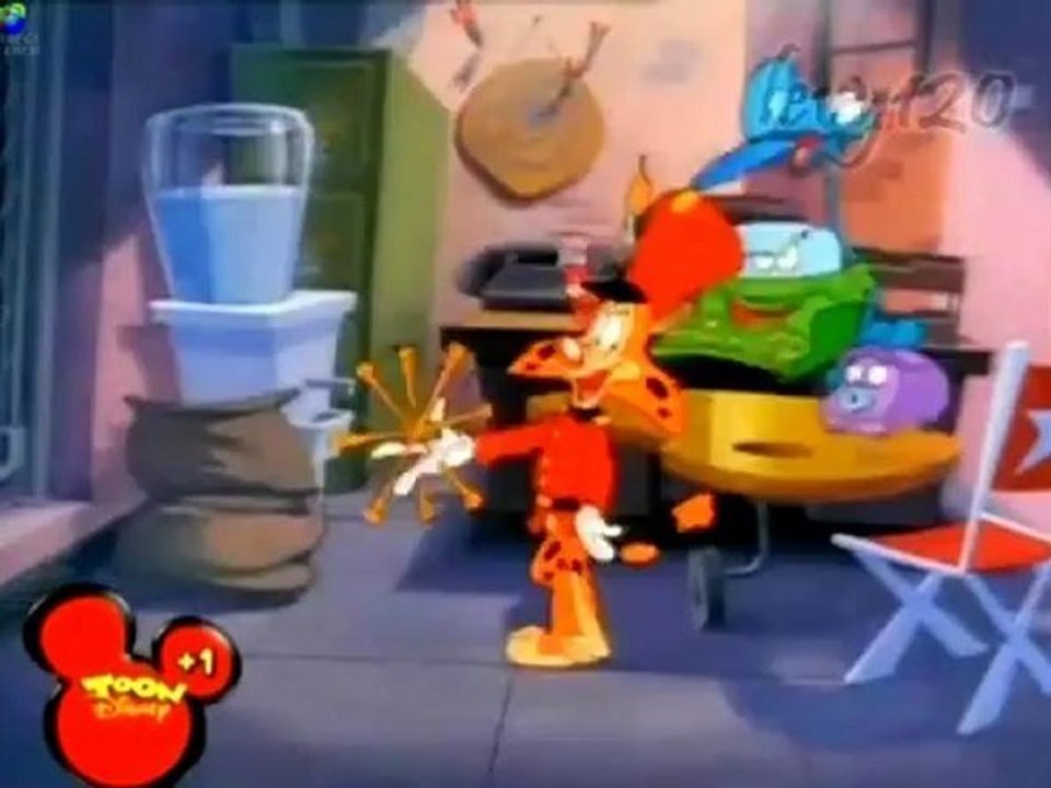 Thank you for the morning walks...