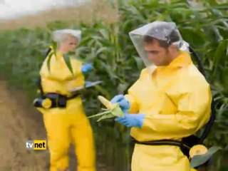 Anlamak İçin - Gdo