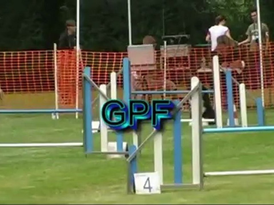 1er Concours d'agility Eagle Messimy/Saône.