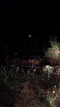 gap gazeteciler birliği başkonuş yaylası gezisi-3