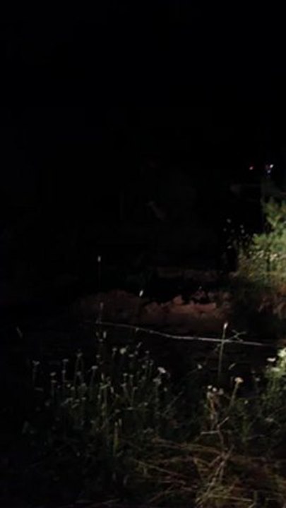 gap gazeteciler birliği başkonuş yaylası gezisi-4