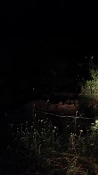 gap gazeteciler birliği başkonuş yaylası gezisi-4