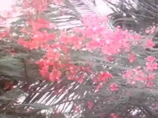 Kovil Theivam (Ninaivukal)