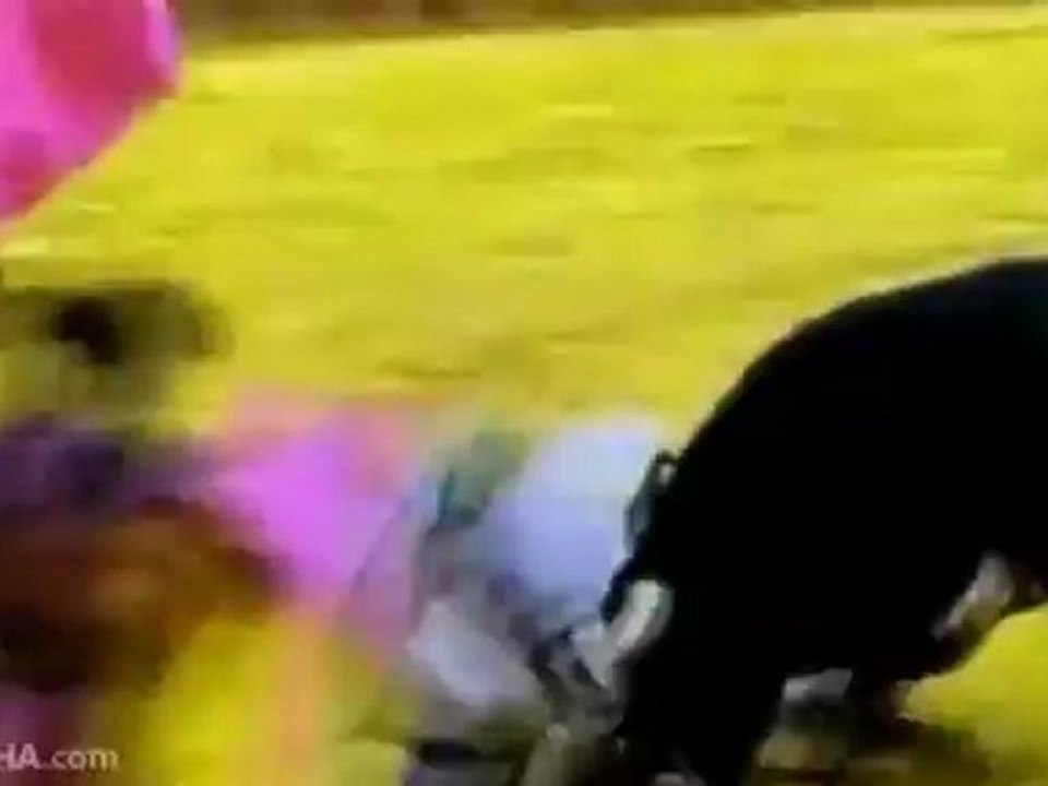Tragique fin du cheval Xelim (et du taureau) durant la corrida de Rui Fernandes à Sevilles