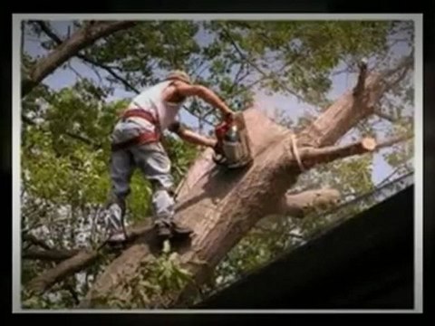 Rogers & Sons Landscaping - (520) 236-5642